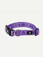 Dog Collar - Violet Butterfly Whispers